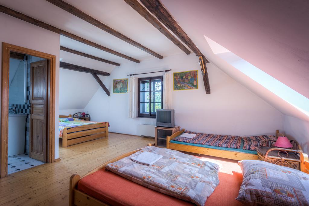 Penzion U Dracice Otel Nová Bystřice Dış mekan fotoğraf